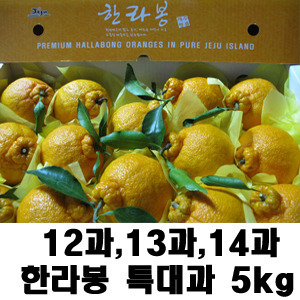 [무료배송]선물용 한라봉 특대과 5kg/12과~14과